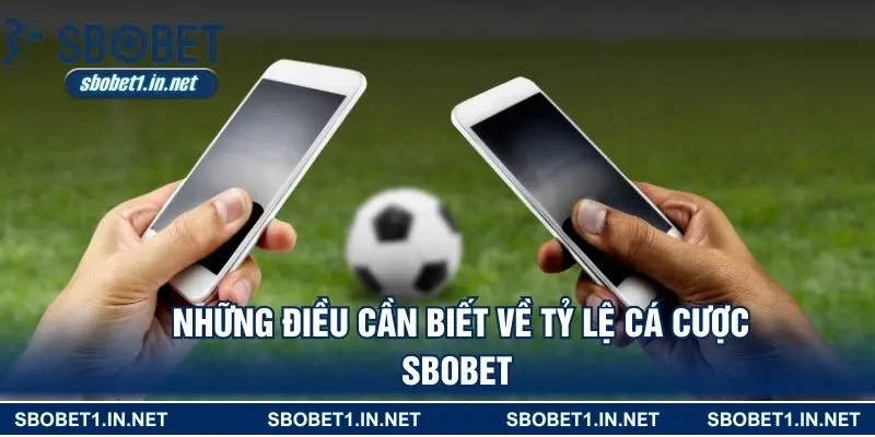 Những điều cần biết về tỷ lệ cá cược SBOBET 
