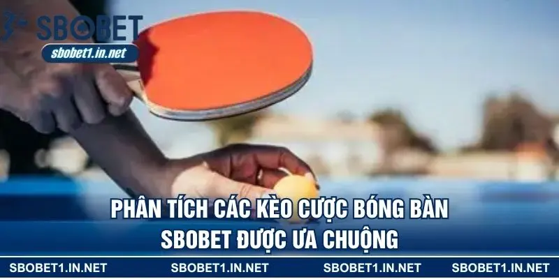 Phân tích các kèo cược bóng bàn SBOBET được ưa chuộng