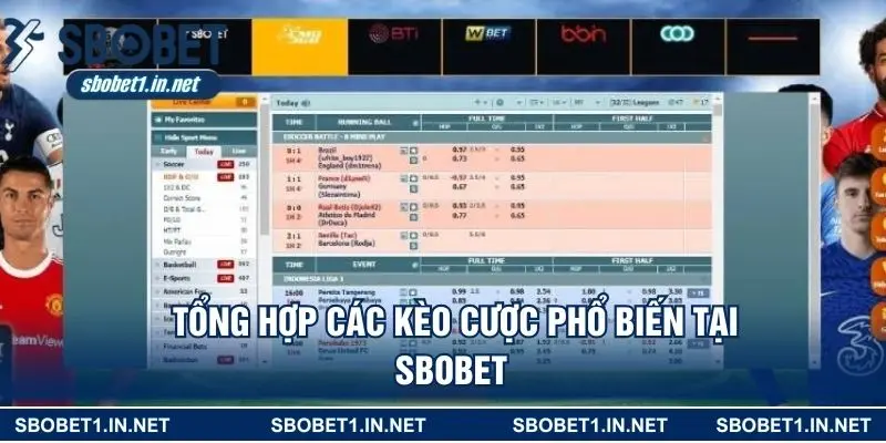 Tổng hợp các kèo cược phổ biến tại SBOBET 